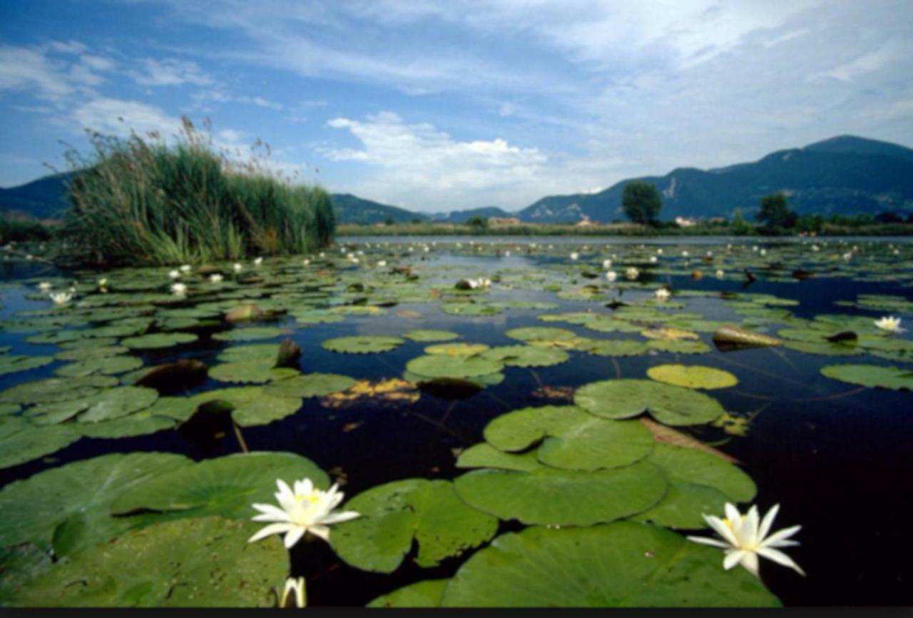 Iseo Lake Home Nature & Relax Exterior photo